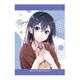 SELECTION PROJECT B2タペストリー 花野井玲那 [キャラクターグッズ]