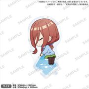 五等分の花嫁∬ つながるぷちスターアクリルスタンド RICH vol.1 中野三玖 [キャラクターグッズ]