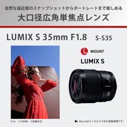 ヨドバシ.com - パナソニック Panasonic S-S35 [LUMIX S 35mm F1.8 S
