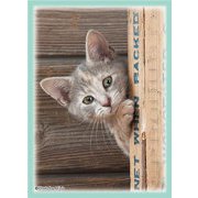 キャラクタースリーブ 猫 チラッ リバイバル [トレーディングカード用品]