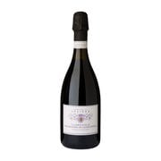 ランブルスコ・グラスパロッサ・ディ・カステルヴェトロ 8度 750ml [スパークリングワイン]