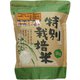 精米 北海道産 新篠津 あやひめ 特別栽培米 白米 2kg 令和6年産