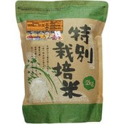 精米 北海道産 新篠津 あやひめ 特別栽培米 白米 2kg 令和6年産