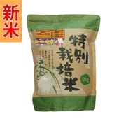 精米 北海道産 新篠津 あやひめ 特別栽培米 白米 2kg 令和7年産