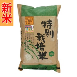 北海道特別栽培米 新篠津あやひめ 白米 5kg 令和7年産