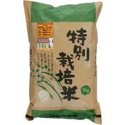 北海道特別栽培米 新篠津あやひめ 白米 5kg 令和6年産