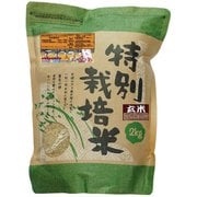 北海道特別栽培米 新篠津あやひめ 玄米 2kg 令和6年産