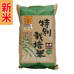 北海道特別栽培米 新篠津あやひめ 玄米 5kg 令和7年産