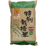北海道特別栽培米 新篠津あやひめ 玄米 5kg 令和6年産