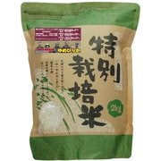 北海道特別栽培米 長沼ゆめぴりか 白米 2kg 令和6年産