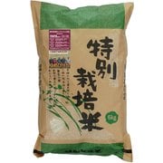 北海道特別栽培米 長沼ゆめぴりか 白米 5kg 令和6年産