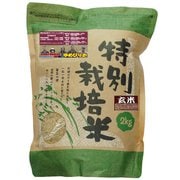 北海道特別栽培米 長沼ゆめぴりか 玄米 2kg 令和4年産