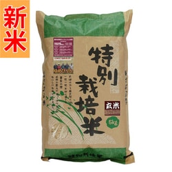 北海道特別栽培米 長沼ゆめぴりか 玄米 5kg 令和7年産