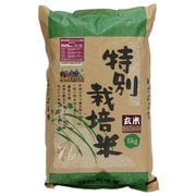 北海道特別栽培米 長沼ゆめぴりか 玄米 5kg 令和4年産