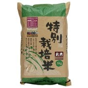 北海道特別栽培米 長沼ゆめぴりか 玄米 5kg 令和6年産