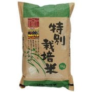 北海道特別栽培米（無農薬無化学肥料） 長沼ゆめぴりか白米5kg令和3年産
