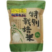 精米 北海道産 妹背牛 ななつぼし 特別栽培米  2kg 令和5年産