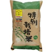 北海道特別栽培米 妹背牛ななつぼし 白米 5kg 令和5年産