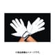 EA353BE-66 [【L】 手袋（豚革）]