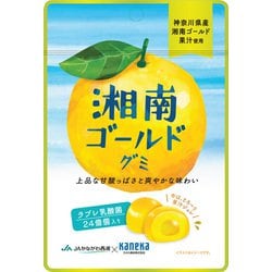 湘南ゴールドグミ ラブレ乳酸菌入 40g
