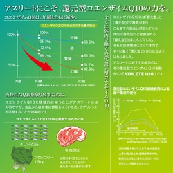 ヨドバシ.com - アスリートQ10 ATHLETEQ10 ボトル 30粒 通販【全品無料