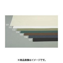 正規品／エスコ 1.1x10m/0.55mm 線帆布（11号/オフ白） EA911AK-532