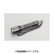 EA758JC-821A [【単3x2本】 フラッシュライト/LED（充電池セット/防水）]