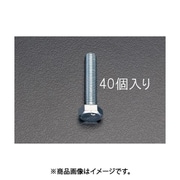EA949HE-163 [M16x 80mm 六角頭全ねじボルト（40本）]