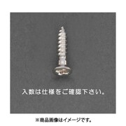 EA949EJ-401 [2.1x10mm 皿頭木ねじ（真鍮製/25本）]
