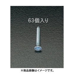 4x40mm タッピングビス（ユニクロメッキ/63本） EA949ET-440
