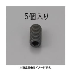 M2 x 8mm 六角穴付止ねじ（クロメート/5本） EA949MP-208