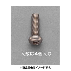 M6x12mm 鍋頭小ねじ（チタン/4本） EA949NY-612A