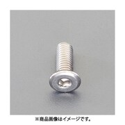EA949MX-1220 [M12x20mm 六角穴付ボルト（超低頭/ステンレス/1本）]