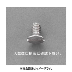 W1/4 x10mm 皿頭小ねじ（ステンレス/ 8本） EA949NB-105A