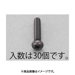 M3x 6mm ナベ頭小ねじ（ステンレス/黒色/30本） EA949TE-306