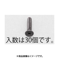 M3x 6mm 皿頭小ねじ（ステンレス/黒色/30本） EA949TF-306