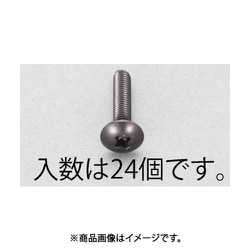 M3x12mm トラス頭小ねじ（ステンレス/黒色/24本） EA949TG-312