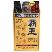 覇王 JPGL-003