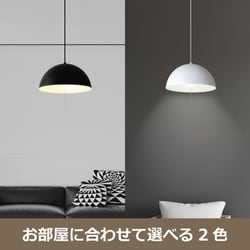 ヨドバシ.com - 瀧住電機 TAKIZUMI ペンダントライト LED電球