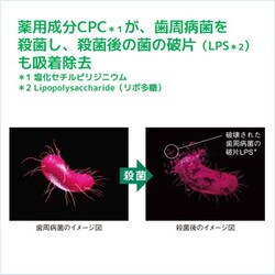 ヨドバシ.com - ガム GUM GUM ガム 限定 デンタルペースト 増量セール