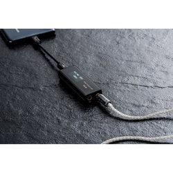 ヨドバシ.com - Cayin カイン RU6 [R2R搭載ポータブルUSB DAC/アンプ