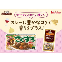 ヨドバシ.com - ハウス食品 カレーパートナー ブイヨンペースト 30g