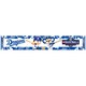 eBASEBALL プロリーグ2020 マフラータオル 中日ドラゴンズ [キャラクターグッズ]