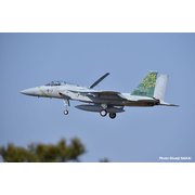 AC-55 1/72 エアクラフトシリーズ 航空自衛隊 F-15J イーグル 第303飛行隊 創設40周年記念塗装機 [組立式プラスチックモデル]