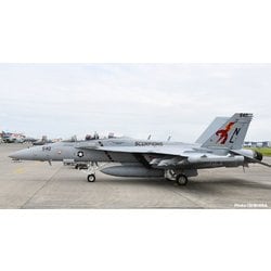 TPA-11 1/48 エアクラフトシリーズ アメリカ海軍 電子戦機 EA-18Gグラウラー VAQ-132 スコーピオンズ [組立式プラスチックモデル]