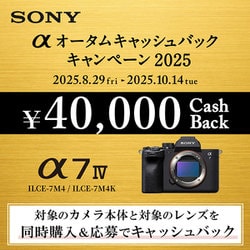SONY 真・ILCE-7S フルサイズ 4K撮影 低照度最強 制限解除 SONY 真・ILCE-7S フルサイズ 4K撮影 低照度最強 制限解除