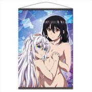 OVA ストライク・ザ・ブラッド FINAL B2タペストリー B 雪菜＆カスティエラ [キャラクターグッズ]
