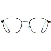 ブルーライトカット リーディンググラス HB-04 C2 +1.5 BROWN DEMI MATT/SILVER