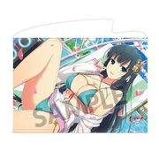 シノビマスター 閃乱カグラ NEW LINK B2タペストリー 伝説爆乳祭 斑鳩 [キャラクターグッズ]