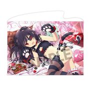 シノビマスター 閃乱カグラ NEW LINK B2タペストリー VD2020 未来 [キャラクターグッズ]